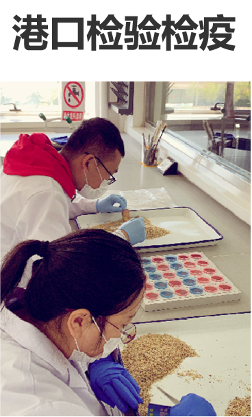 低能电子加速器港口检验检疫方案