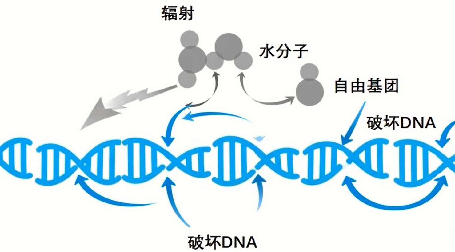 低能电子束灭菌原理示意图